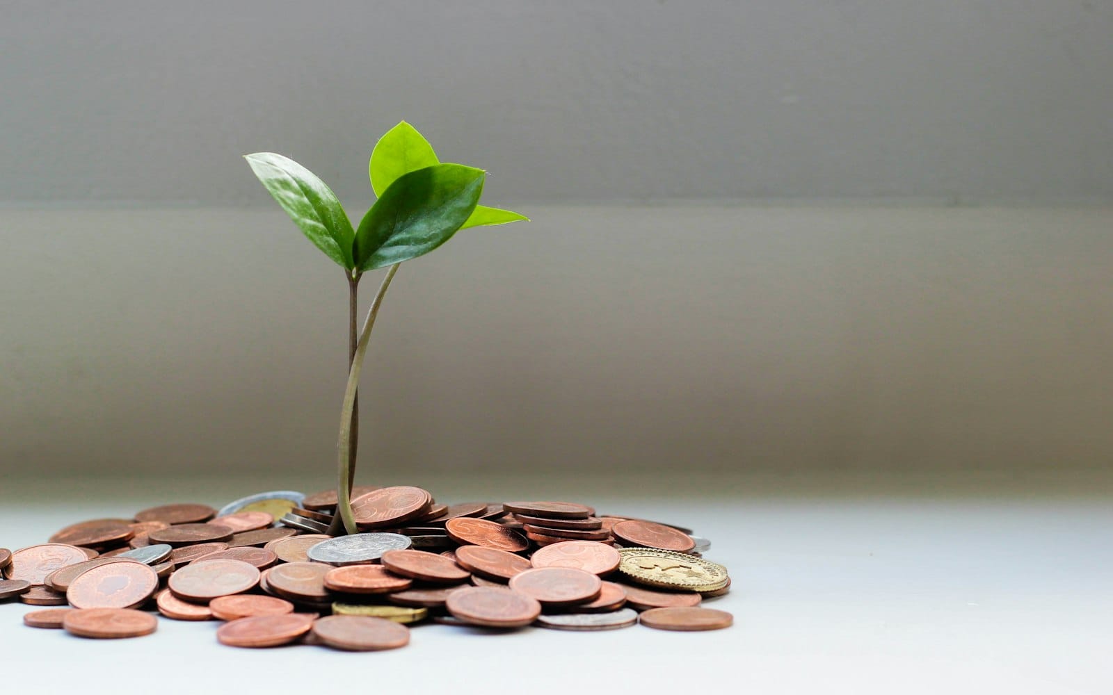 Investimentos que rendem mais que a poupança